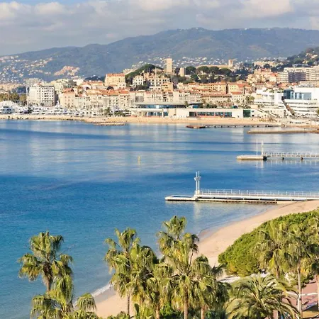 Mimosa - Cannes